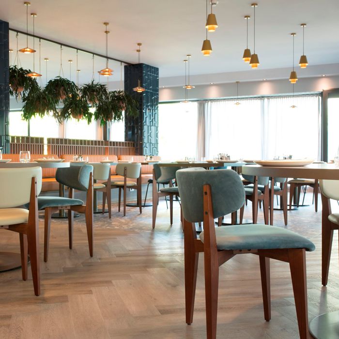 Silla de fresno con asiento y respaldo tapizado para restaurantes Silla de fresno con asiento y respaldo tapizado para restaurantes
