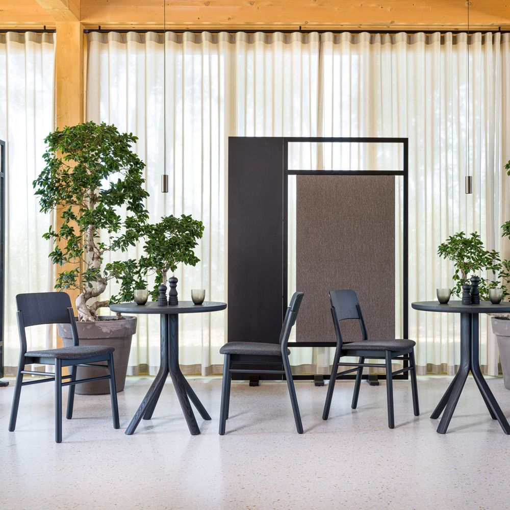 silla-madera-fresno-color-negro-para-restaurantes-tree-ms-ambiente